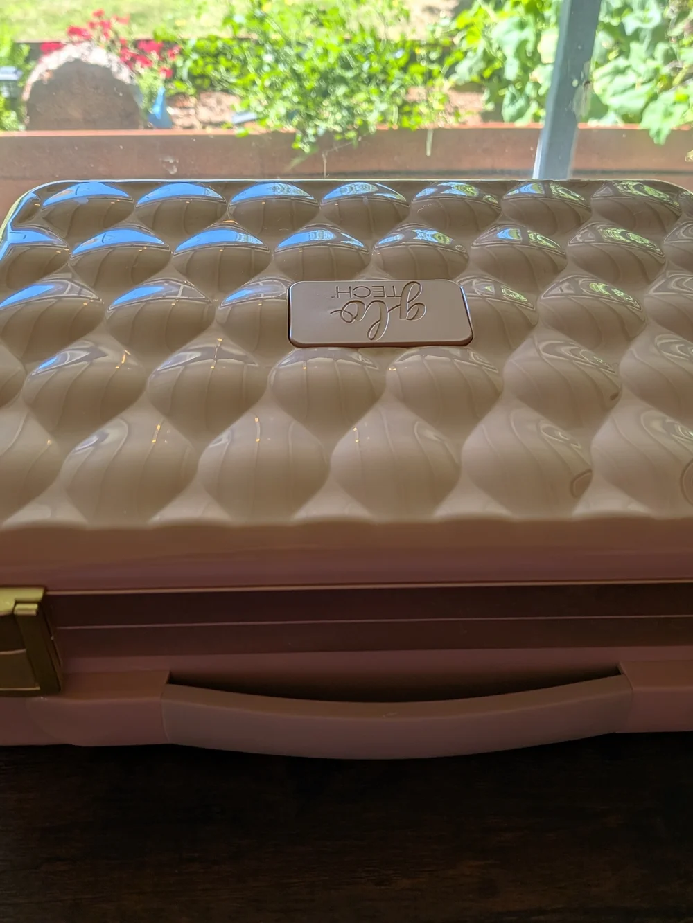 Pink Cosmetic Train Case
